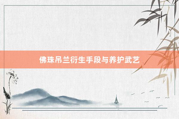 佛珠吊兰衍生手段与养护武艺
